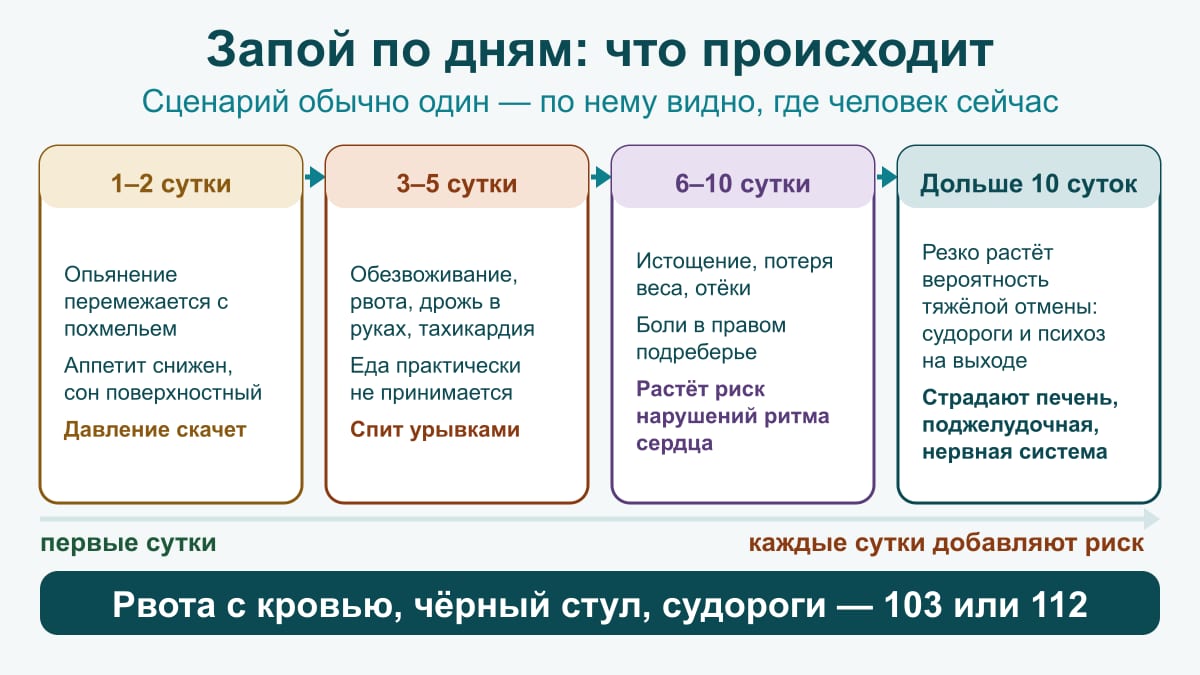 Схема запоя по дням: 1–2 сутки скачки давления, 3–5 обезвоживание и дрожь, 6–10 истощение, дольше 10 — риск судорог и психоза